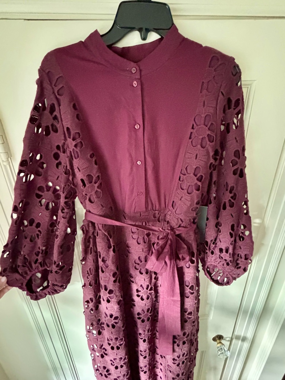 Stunning Merlot Lace Calliope Dress from Tuckernuck NWT